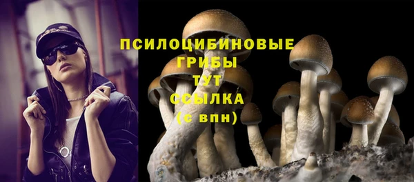 марки nbome Саяногорск
