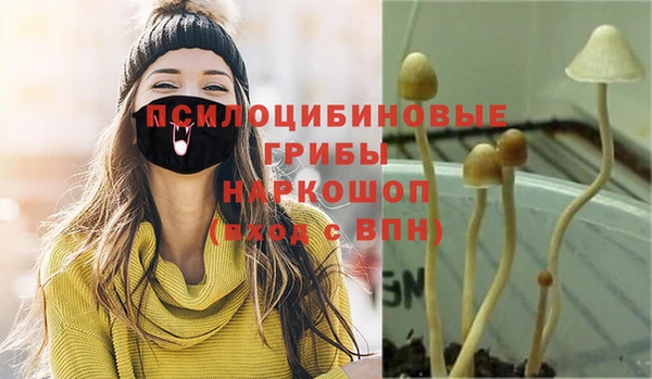 МДМА Сатка