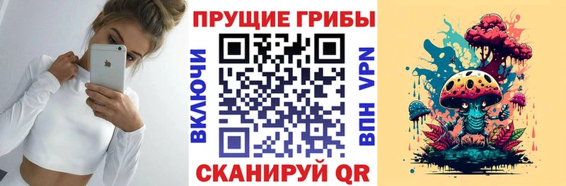 Галлюциногенные грибы прущие грибы  Суоярви 